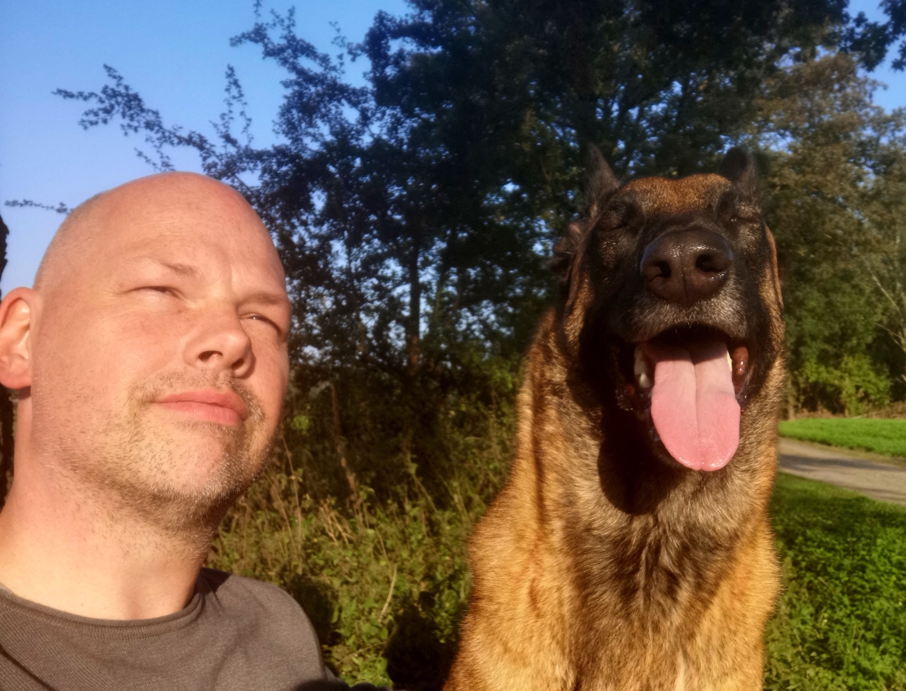 Hundetrainer mit Malinois